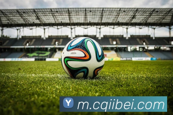 mksports官方网站APP 封面图