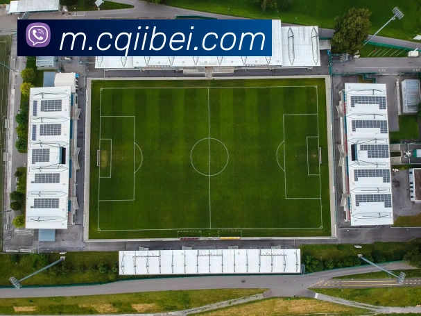 数据防护可视化